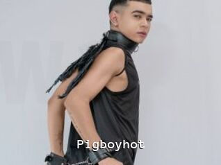 pigboyhot Webcamsex Amateur