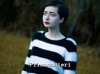 Pileacadieri