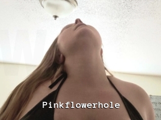Pinkflowerhole