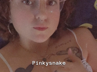 Pinkysnake