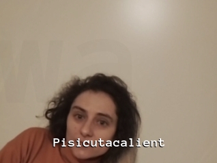 Pisicutacalient