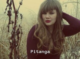 Pitanga