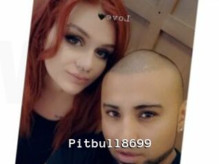 Pitbull8699