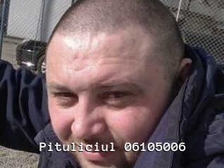 Pituliciul-06105006