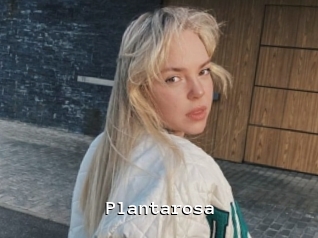 Plantarosa