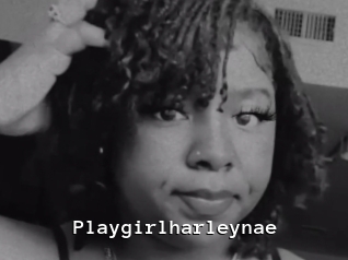 Playgirlharleynae