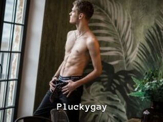 Pluckygay