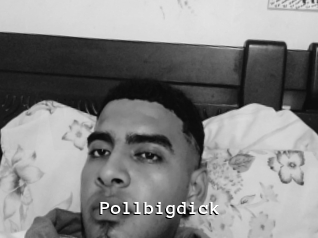 Pollbigdick