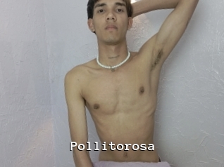 Pollitorosa
