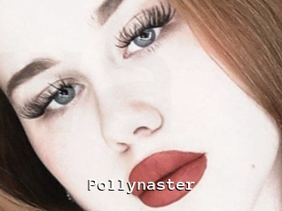 Pollynaster