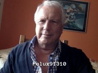 Polux91310