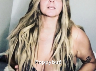 Poppybud