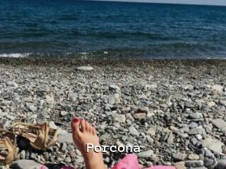 Porcona