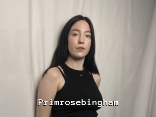 Primrosebingham