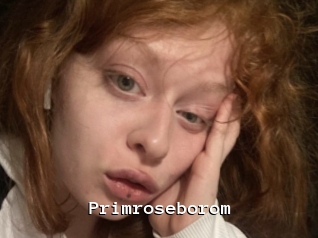 Primroseborom