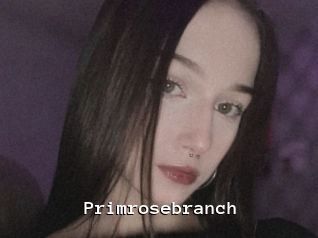 Primrosebranch