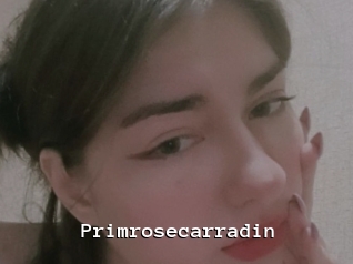 Primrosecarradin