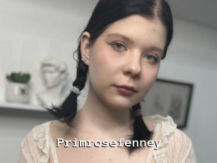 Primrosefenney