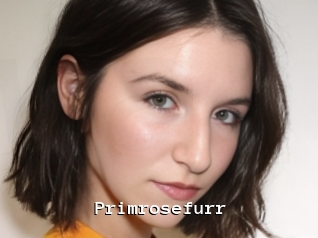 Primrosefurr