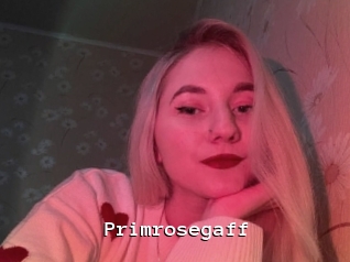 Primrosegaff
