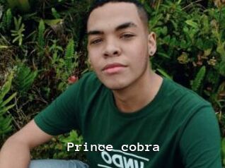 prince_cobra Webcamsex Amateur