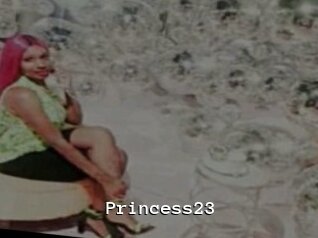 Princess23
