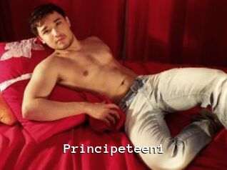 Principeteen1