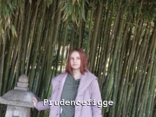 Prudencefigge