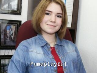 Pumaplayful