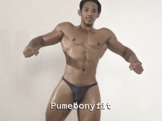 Pumebonyfit