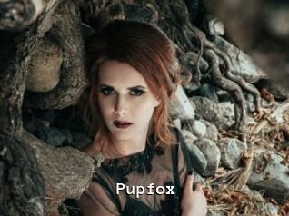 Pupfox