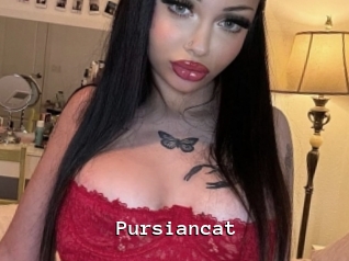 Pursiancat