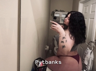 Pytbanks