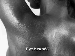 Pytbrwn69
