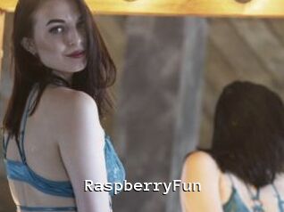 RaspberryFun