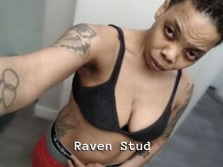 Raven_Stud