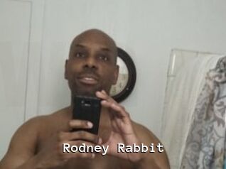 Rodney_Rabbit