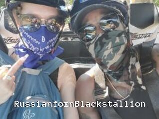 RussianfoxnBlackstallion