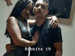 Rabbits_19