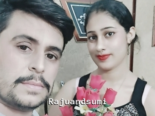 Rajuandsumi