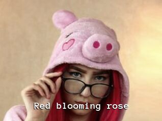red_blooming_rose Webcamsex Amateur