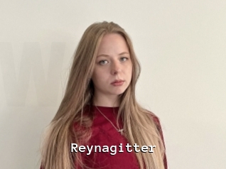 Reynagitter