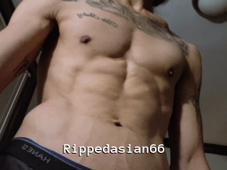 Rippedasian66