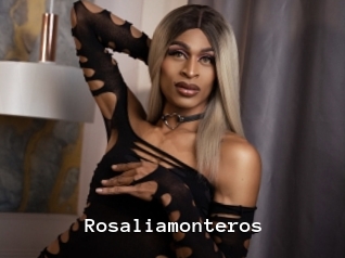 Rosaliamonteros