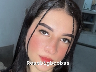 Rosebigboobss