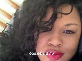 Rosebud75