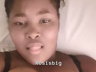 Rosisbig