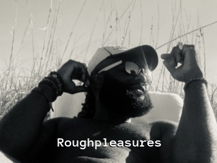 Roughpleasures