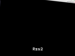 Rzs2