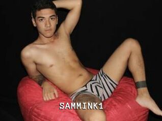 SAMMINK1